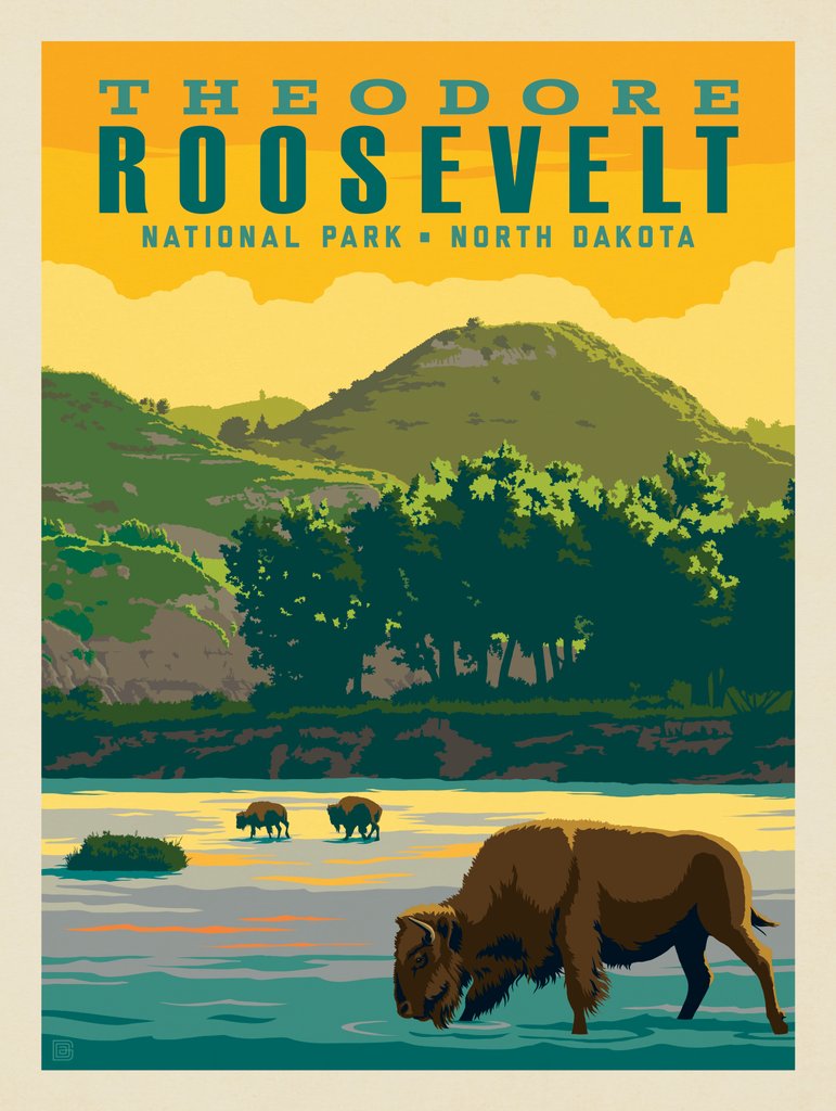Theodore Roosevelt National Park: Bison - Art Print - Artwork