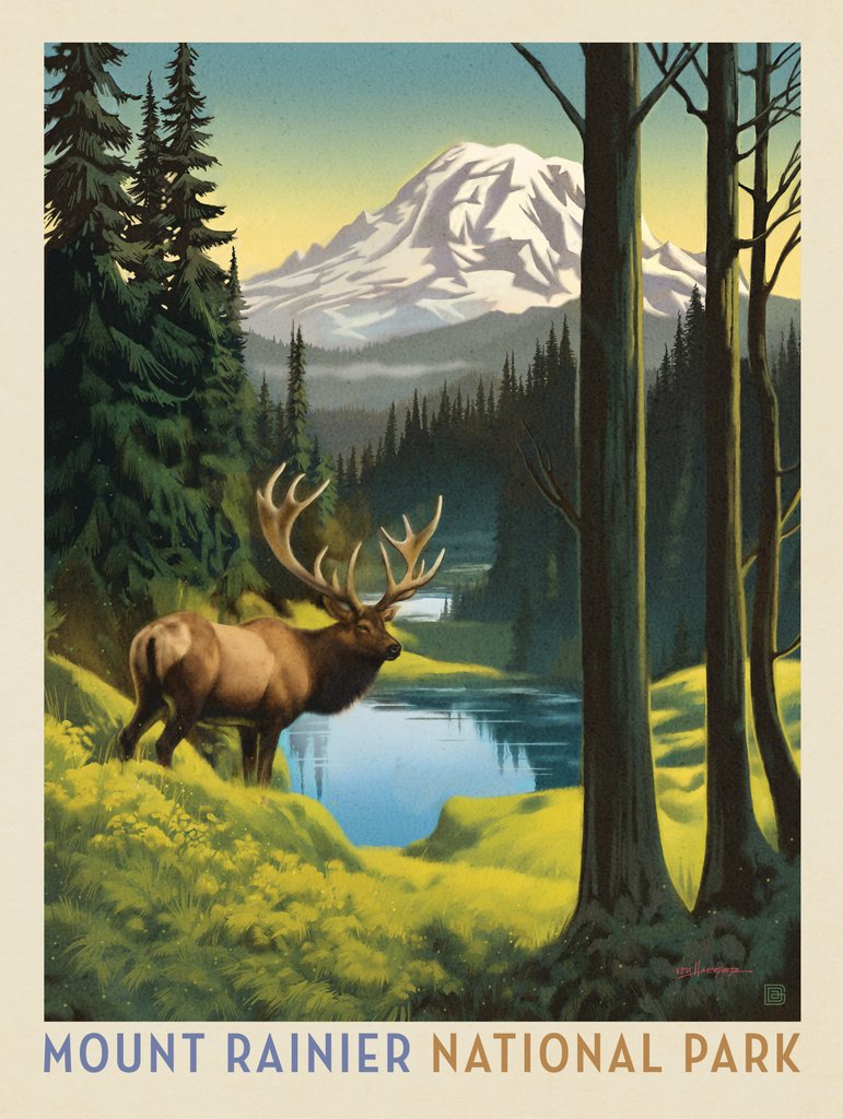 Mount Rainier National Park: Lone Elk - Art Print - Artwork