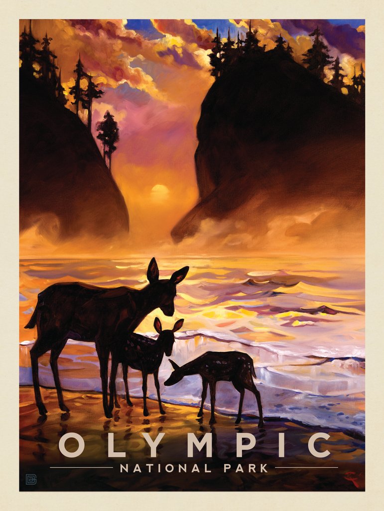 Olympic National Park: Magical Moment - Postcards - Artwork