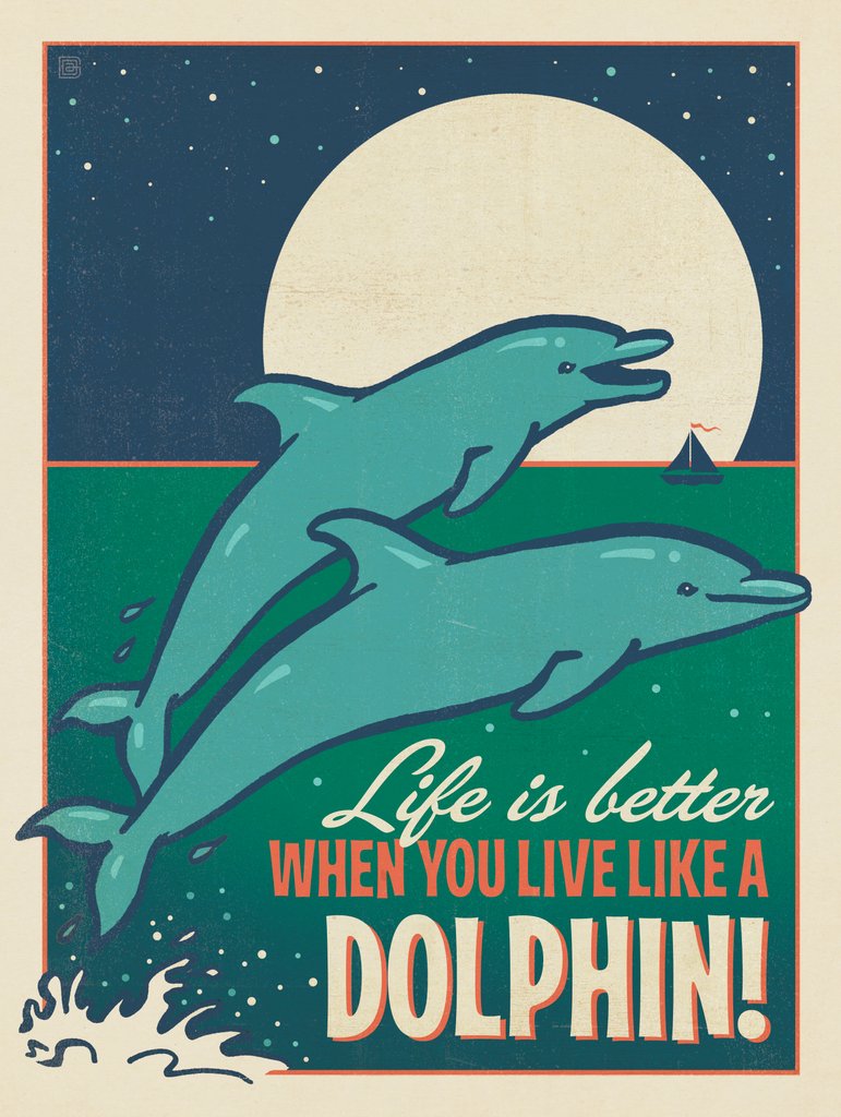Live Like a Dolphin - Metal Sign - Artwork
