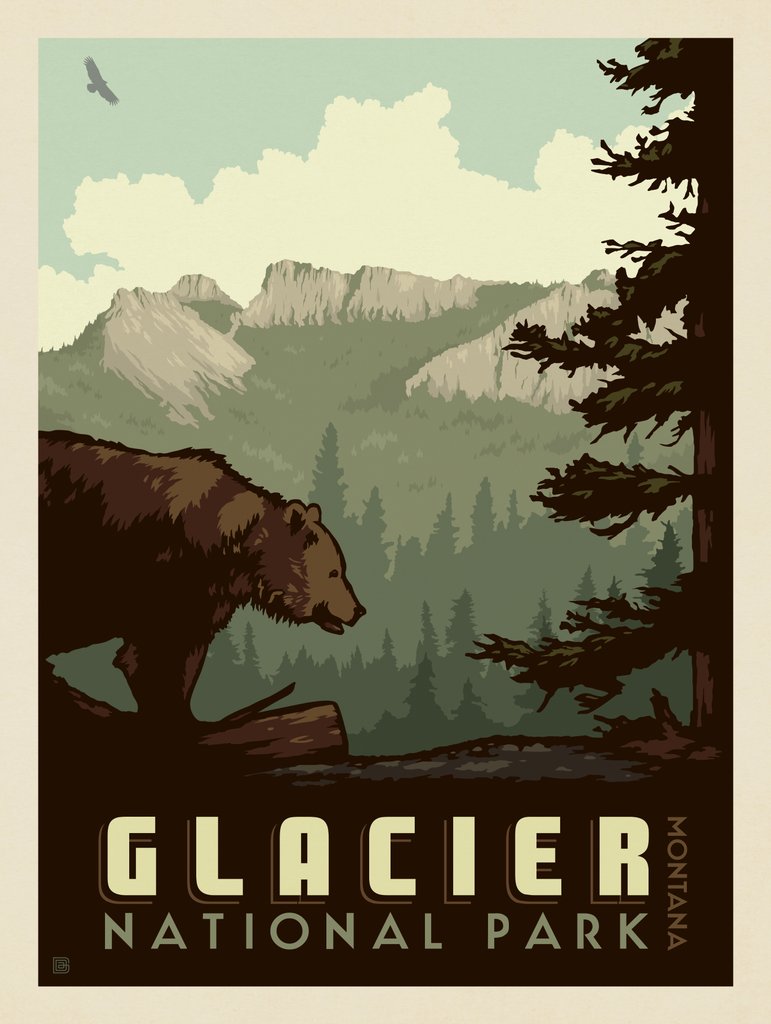 Glacier National Park: Bear - Notecards - Artwork