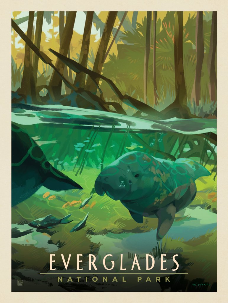 Everglades National Park: Manatee - Metal Sign - Artwork