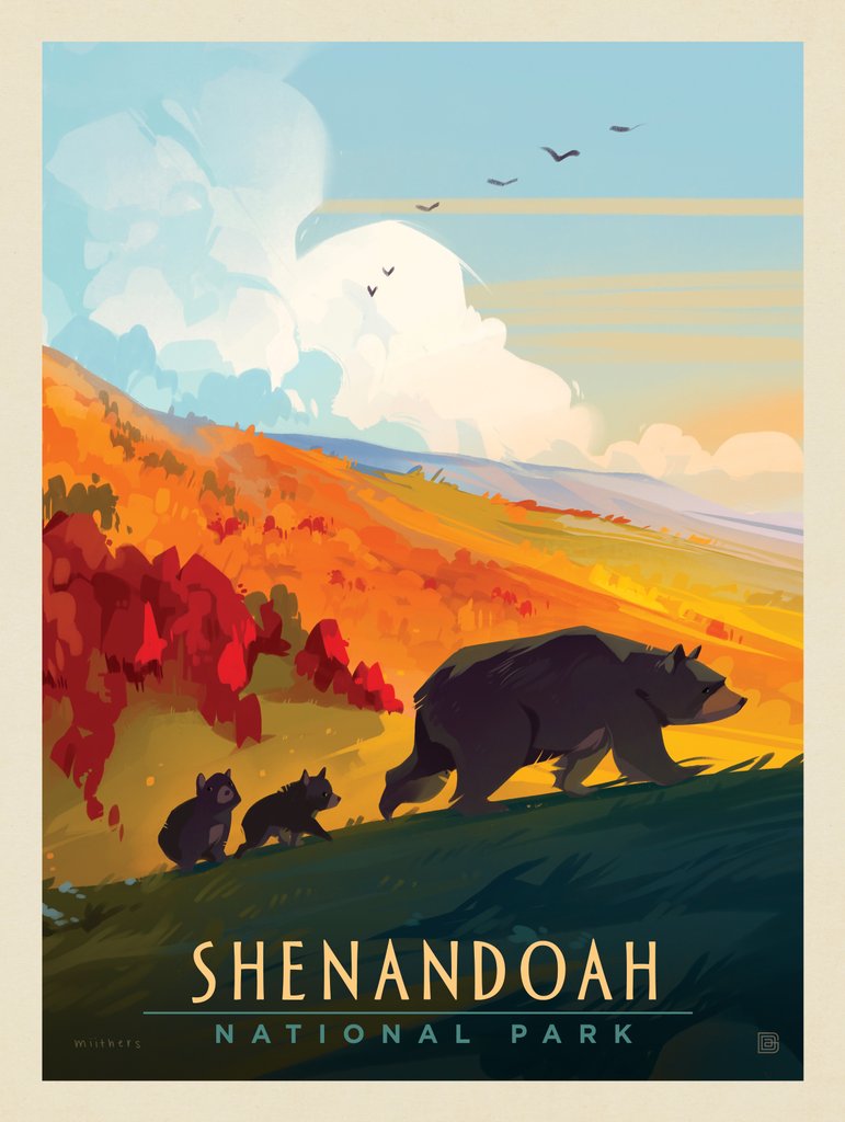 Shenandoah National Park: Mama Bear & Cubs - Canvas - Artwork