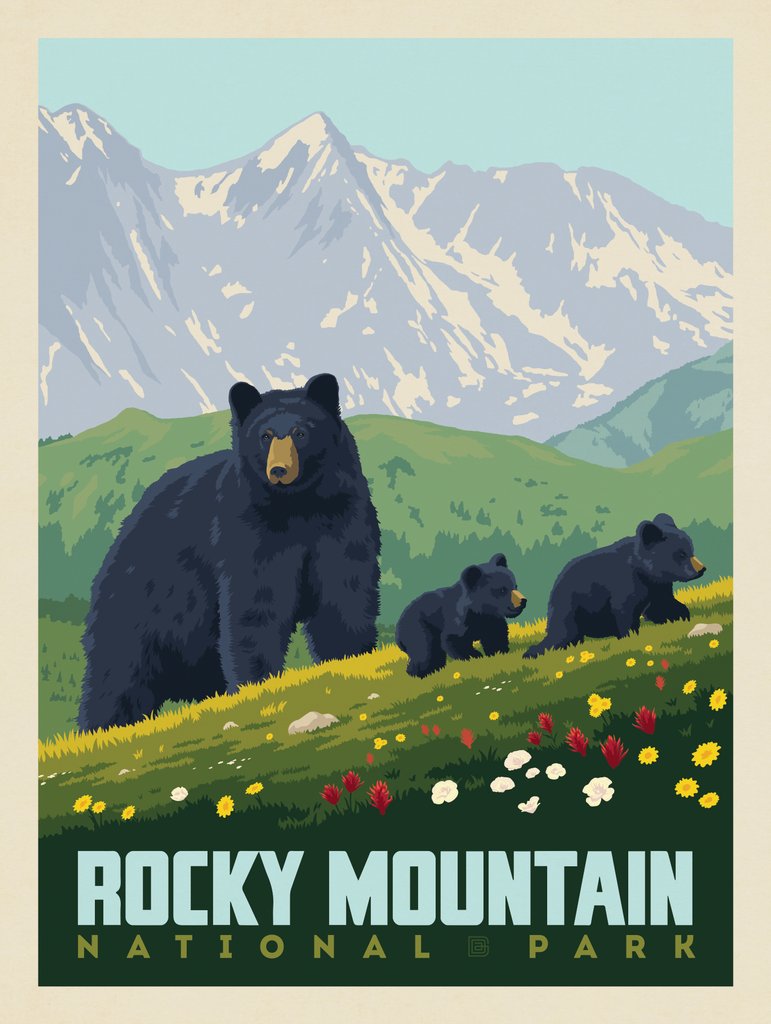 Rocky Mountain National Park: Black Bears - Art Print - Artwork