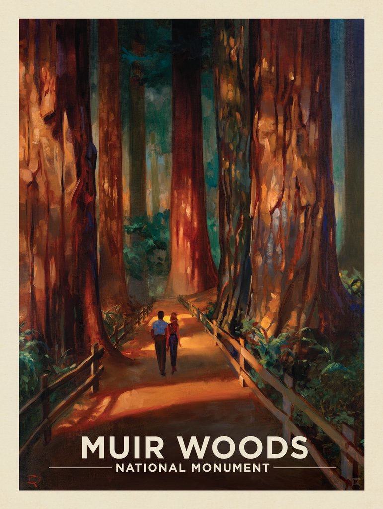 Muir Woods Magic - Metal Sign - Artwork
