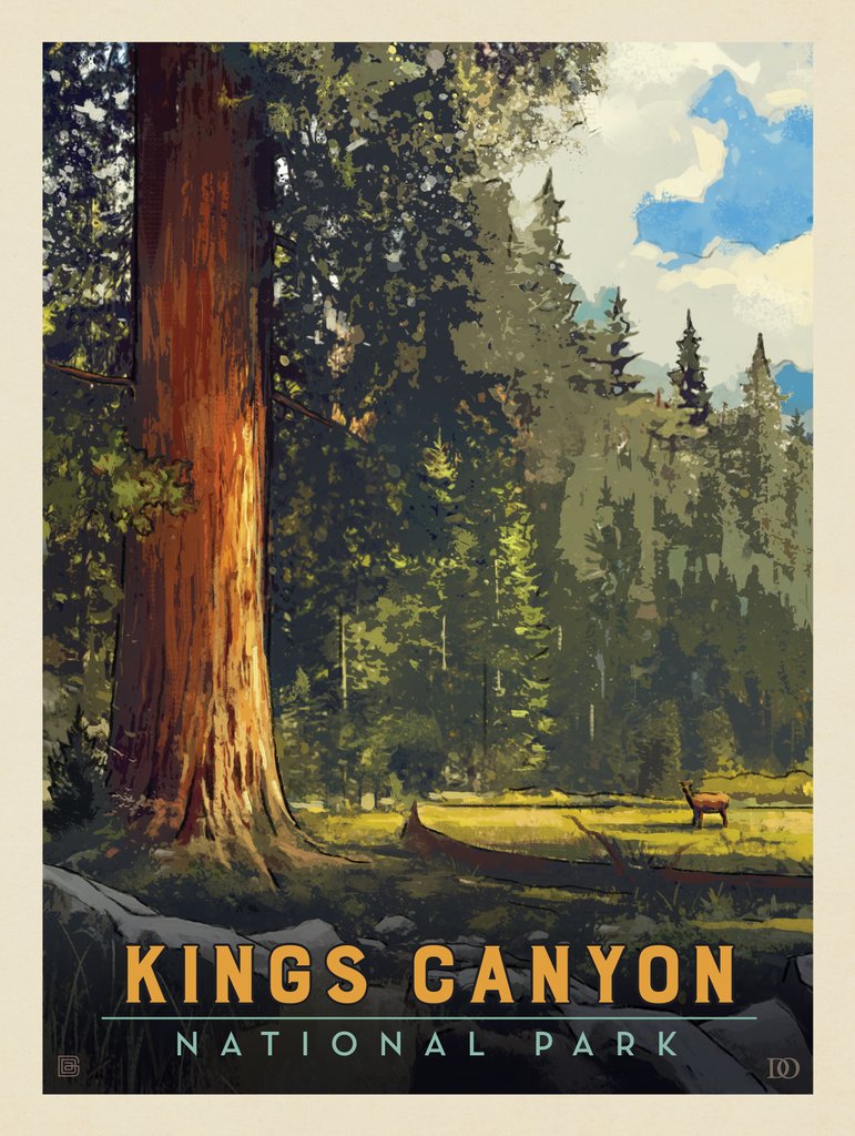 Kings Canyon National Park: Sequoia Grove - Canvas - Artwork