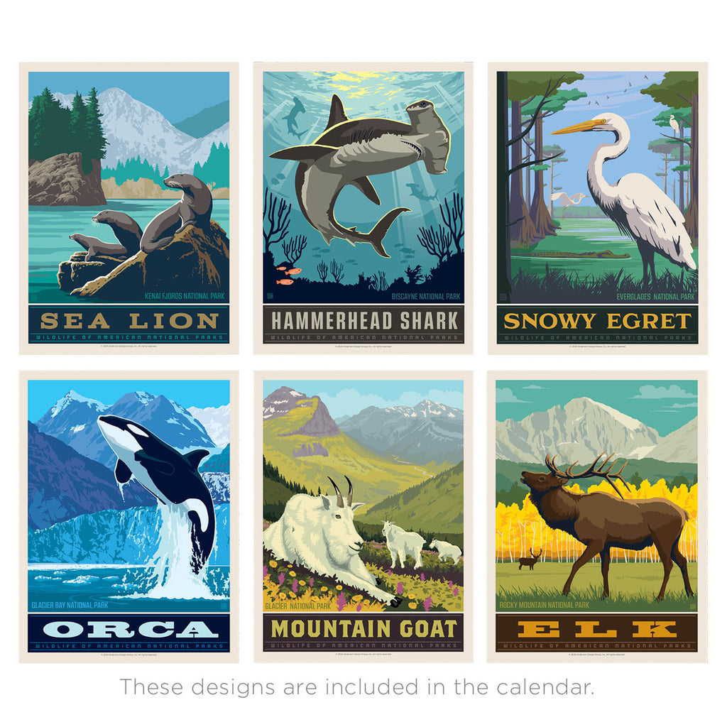 2024 Wall Calendar: National Parks Wildlife