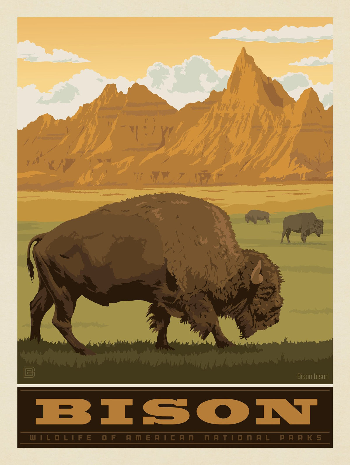 National Parks Wildlife: Bison - Puzzle - Artwork