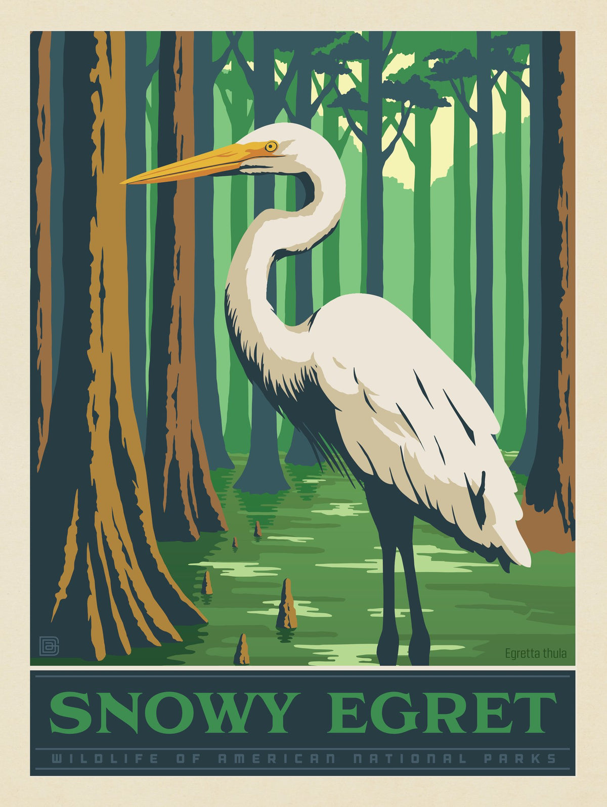 National Parks Wildlife: Snowy Egret - Puzzle - Artwork
