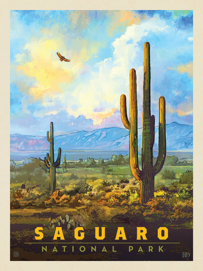 Saguaro National Park: Desert Daybreak - Puzzle