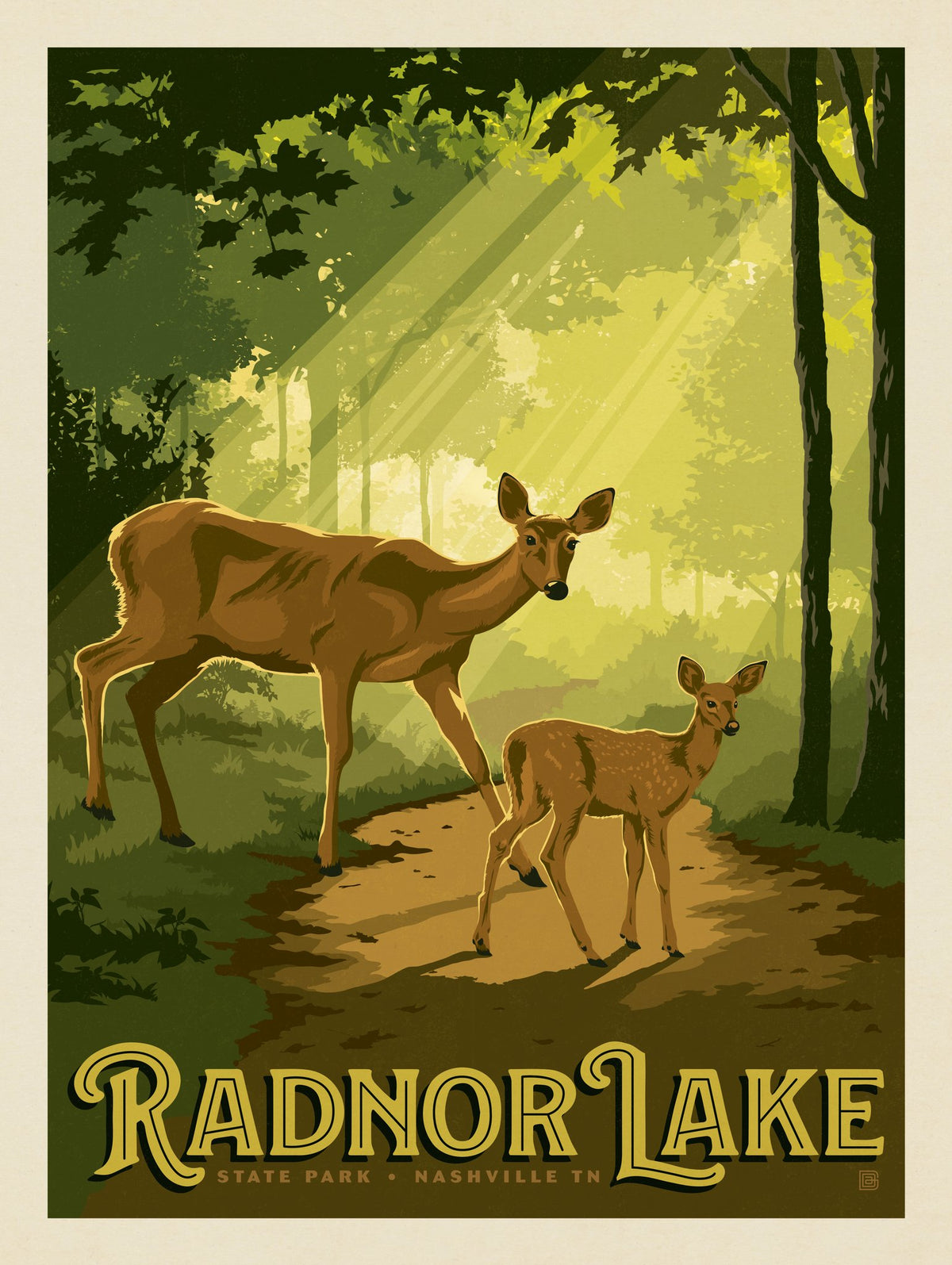 Radnor Lake: Deer - Puzzle - Artwork
