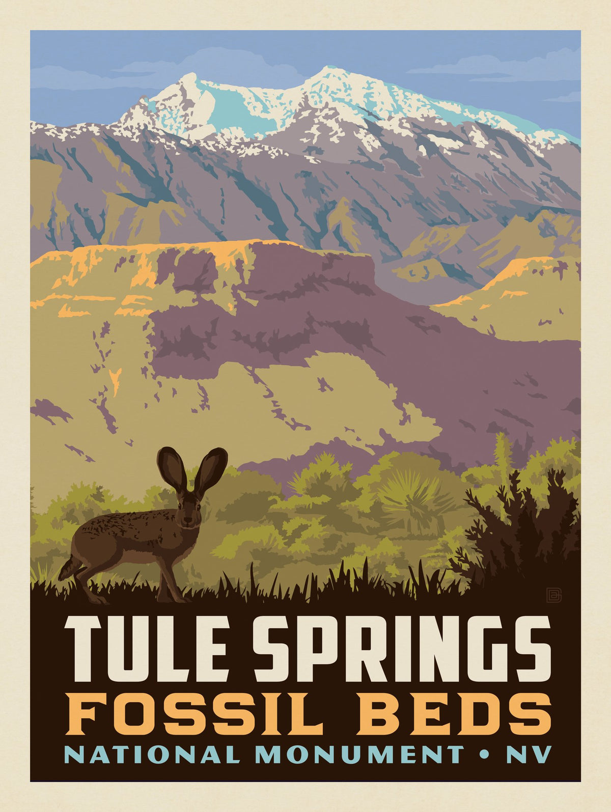 Tule Springs Fossil Beds National Monument, NV - Puzzle - Artwork