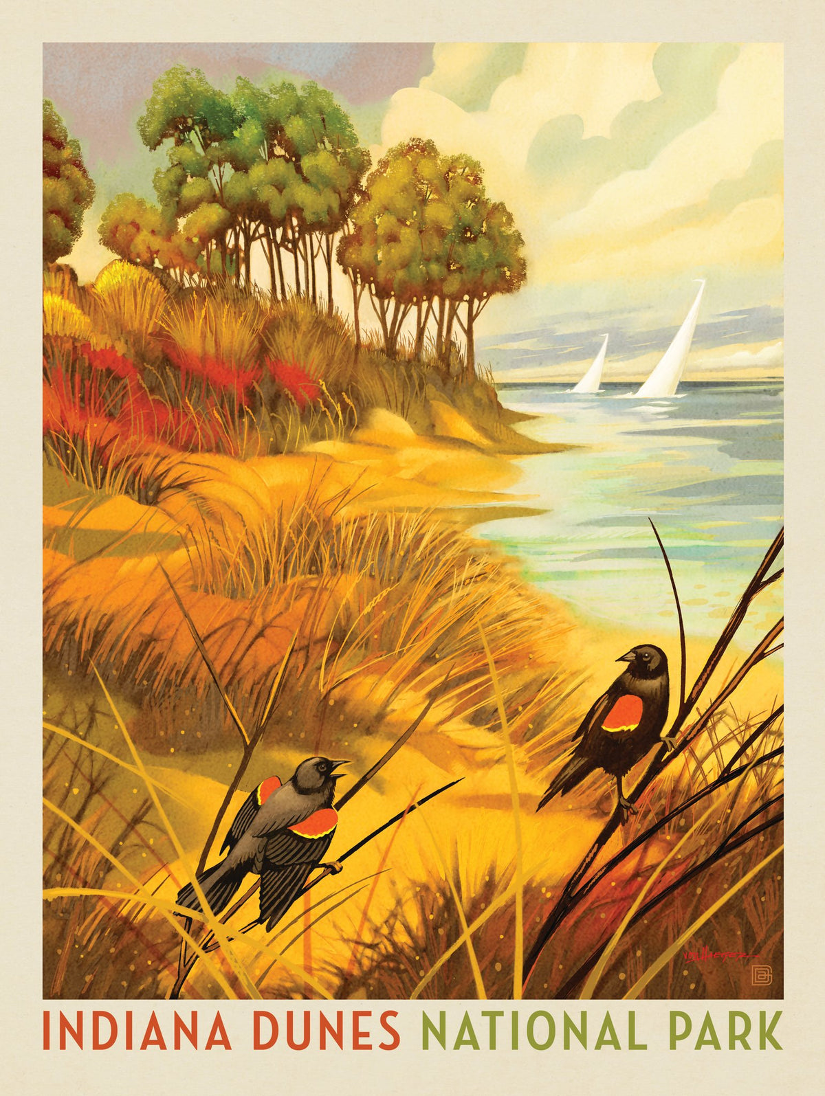 Indiana Dunes National Park: Red-winged Blackbirds - Puzzle - Artwork