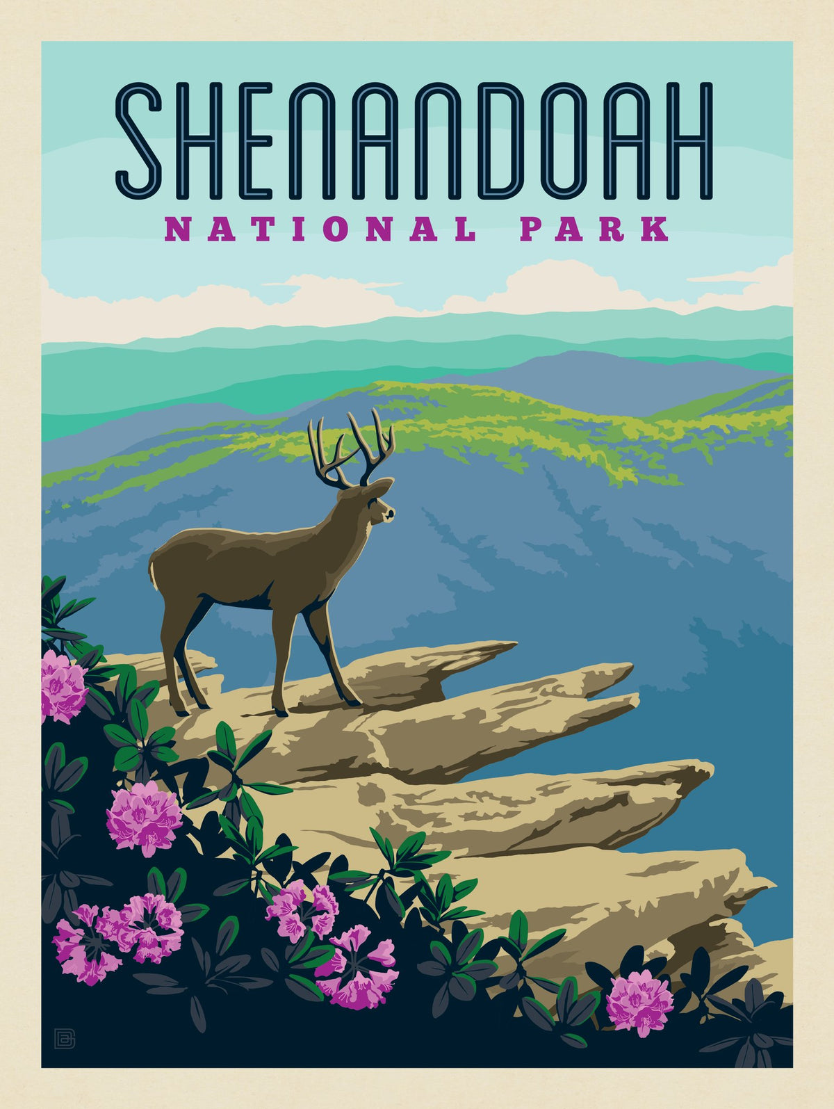 Shenandoah National Park: Hawksbill Mountain - Puzzle - Artwork