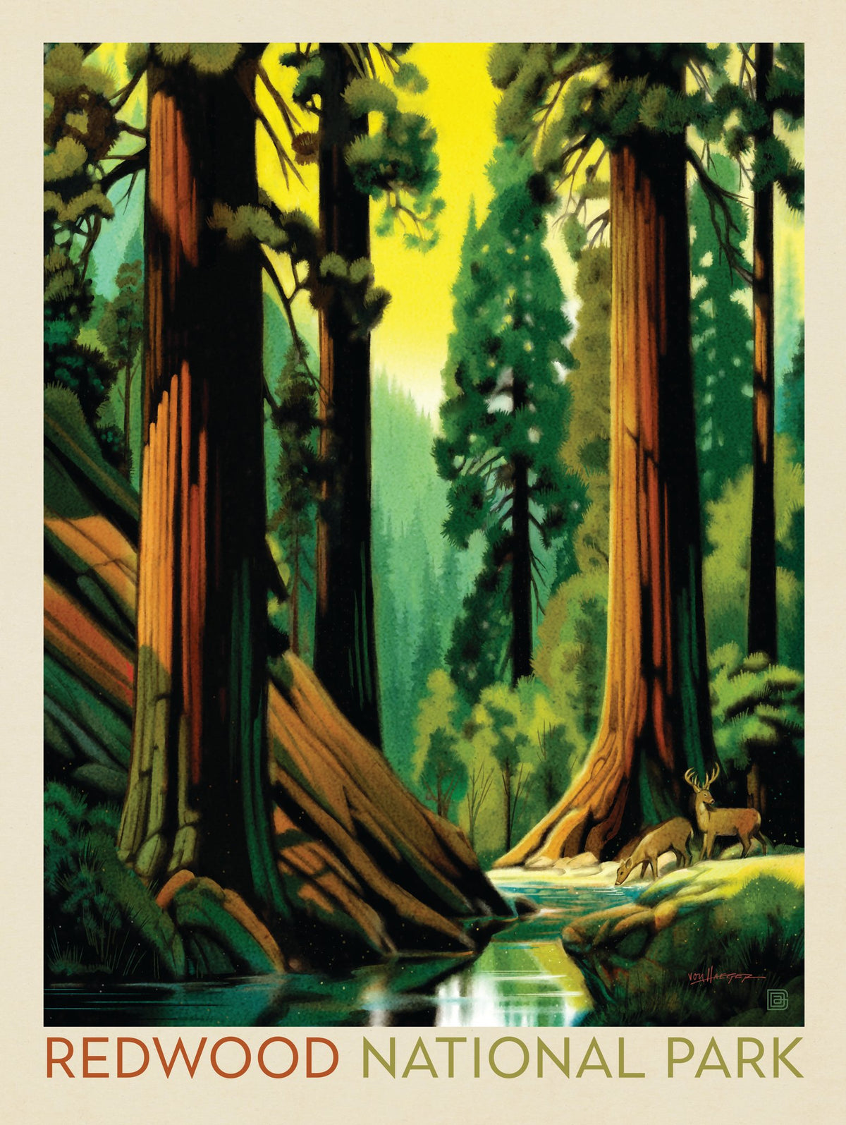 Redwood National Park: Morning Hush - Puzzle - Artwork