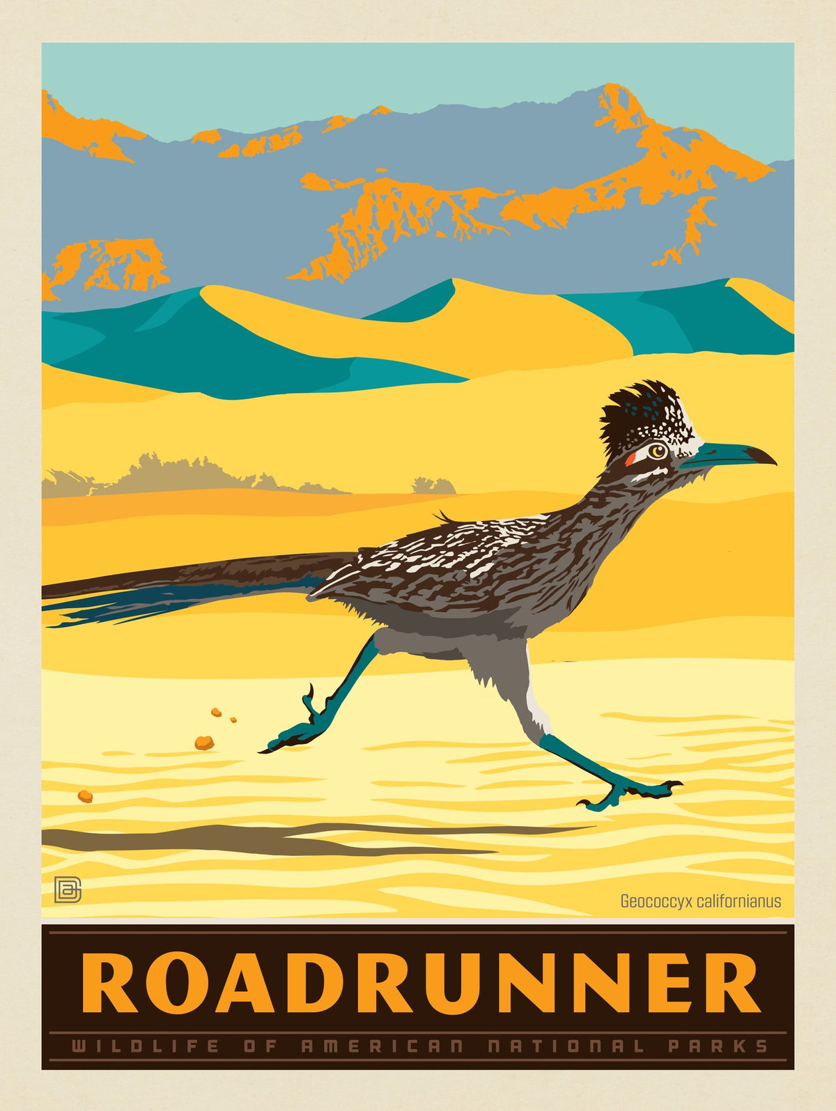 National Parks Wildlife: Roadrunner - Puzzle - Artwork
