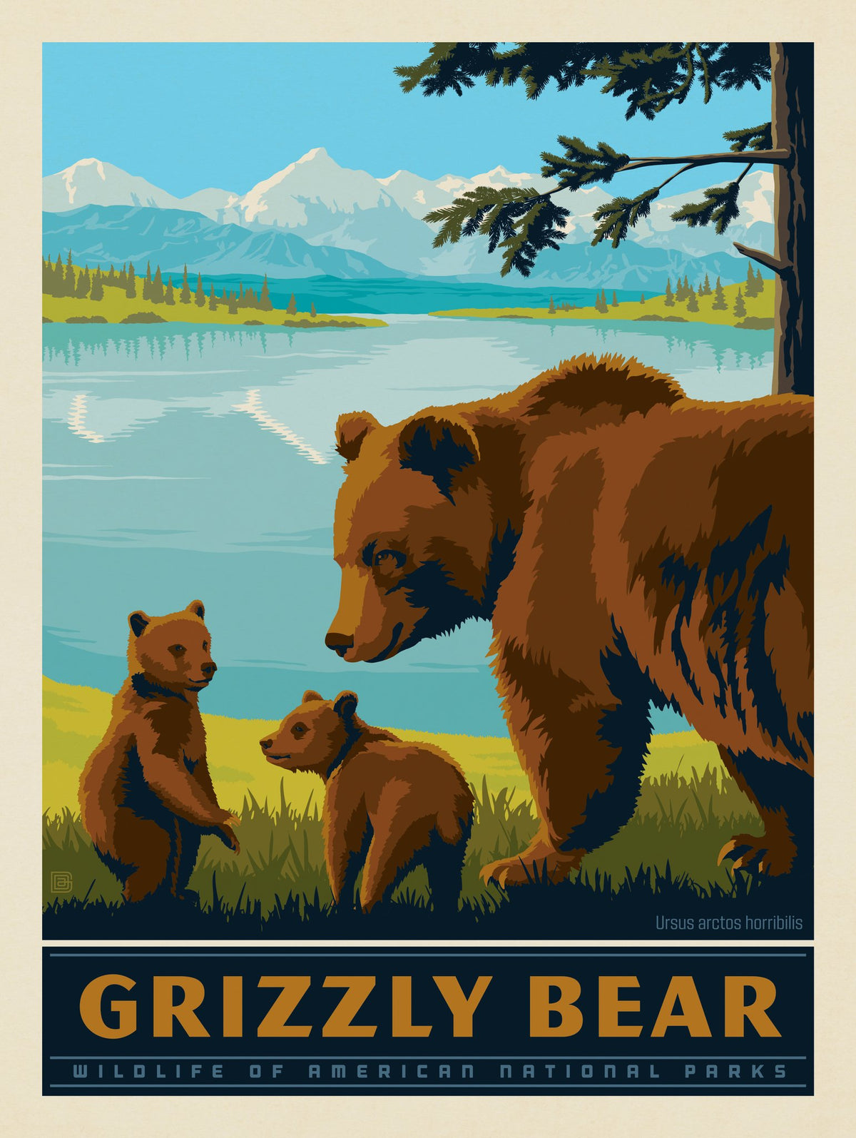 National Parks Wildlife: Grizzly Bear - Puzzle - Artwork