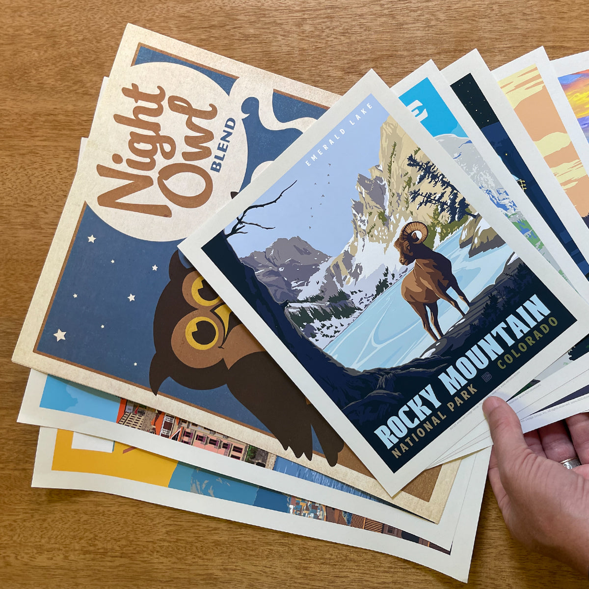 14Piece Bargain Bundle—Mixed 8"x10" & 11"x14" Prints (Best Seller