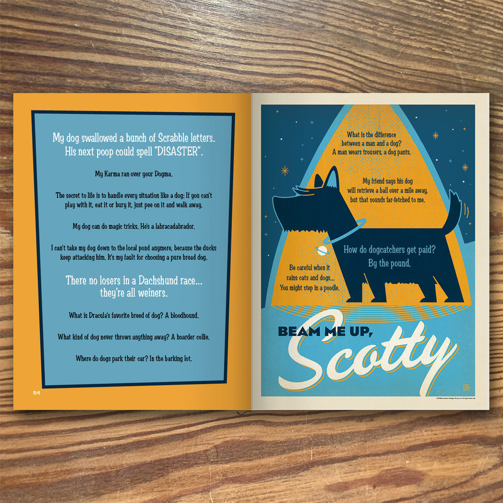 D.I.Y. Guide To Being The King of Dad Jokes Book