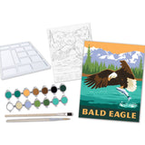 Paint-By-Numbers Kit: Bald Eagle