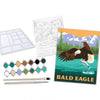 Paint-By-Numbers Kit: Bald Eagle