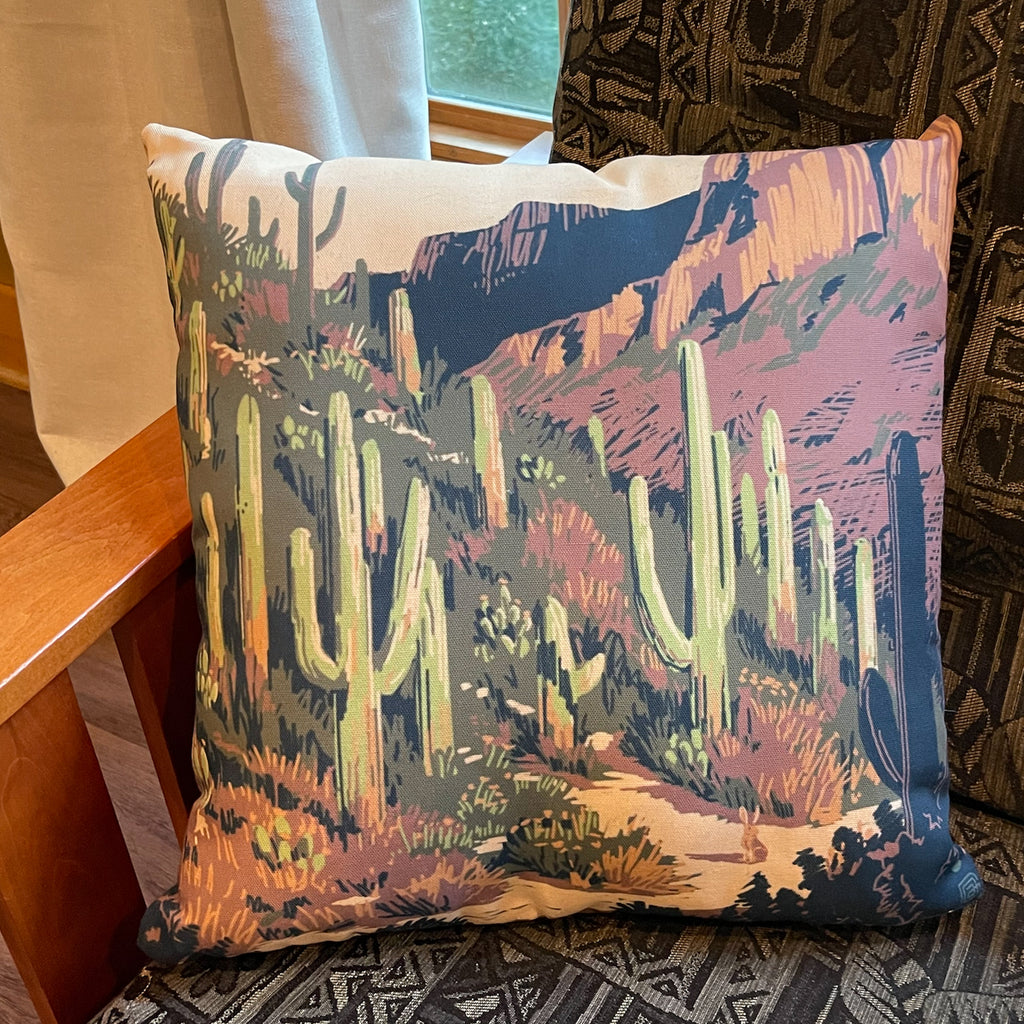18"x18" Throw Pillow: Kenneth Crane's Saguaro National Park
