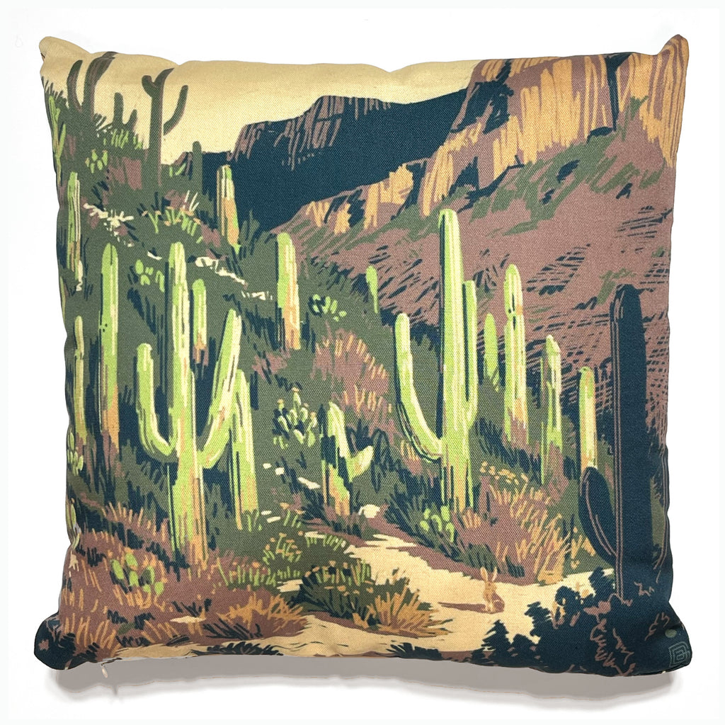 17"x17" Throw Pillow: Kenneth Crane's Saguaro National Park