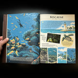 Wilderness & Wonder: An Illustrated Guide to the National Parks SOFTCOVER Book