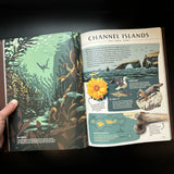Wilderness & Wonder: An Illustrated Guide to the National Parks SOFTCOVER Book