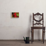 Pastel Painting: Redhead (Cardinal) - Art Print, 8x10