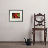Pastel Painting: Redhead (Cardinal) - Art Print, 8x10 / Standard / Gray