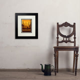 Saguaro National Park - Art Print, 8x10 / Deluxe / Black