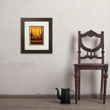 Saguaro National Park - Art Print, 8x10 / Deluxe / Brown