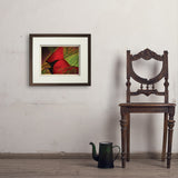 Pastel Painting: Redhead (Cardinal) - Art Print, 11x14 / Standard / Brown