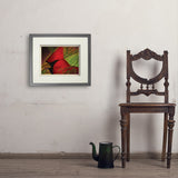Pastel Painting: Redhead (Cardinal) - Art Print, 11x14 / Standard / Gray