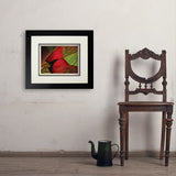 Pastel Painting: Redhead (Cardinal) - Art Print, 11x14 / Deluxe / Black