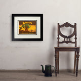 Bristlecone Pine (Pub Poster) - Art Print, 11x14 / Deluxe / Black