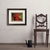Pastel Painting: Redhead (Cardinal) - Art Print, 11x14 / Deluxe / Brown