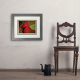 Pastel Painting: Redhead (Cardinal) - Art Print, 11x14 / Deluxe / Gray
