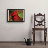 Pastel Painting: Redhead (Cardinal) - Art Print, 18x24 / Simple / Black