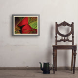 Pastel Painting: Redhead (Cardinal) - Art Print, 18x24 / Simple / Gray