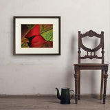Pastel Painting: Redhead (Cardinal) - Art Print, 18x24 / Standard / Brown