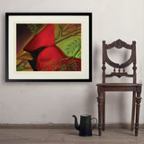 Pastel Painting: Redhead (Cardinal) - Art Print, 24x32 / Standard / Black