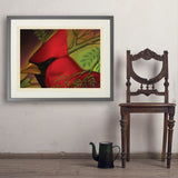 Pastel Painting: Redhead (Cardinal) - Art Print, 24x32 / Standard / Gray