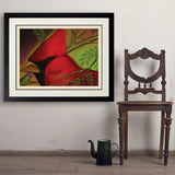 Pastel Painting: Redhead (Cardinal) - Art Print, 24x32 / Deluxe / Black