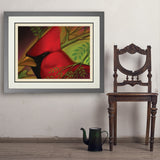 Pastel Painting: Redhead (Cardinal) - Art Print, 24x32 / Deluxe / Gray