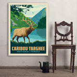 Caribou-Targhee National Forest - Art Print, 36x48