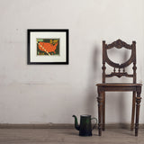 Annular Solar Eclipse 2023 Map - Art Print, 8x10 / Standard / Black