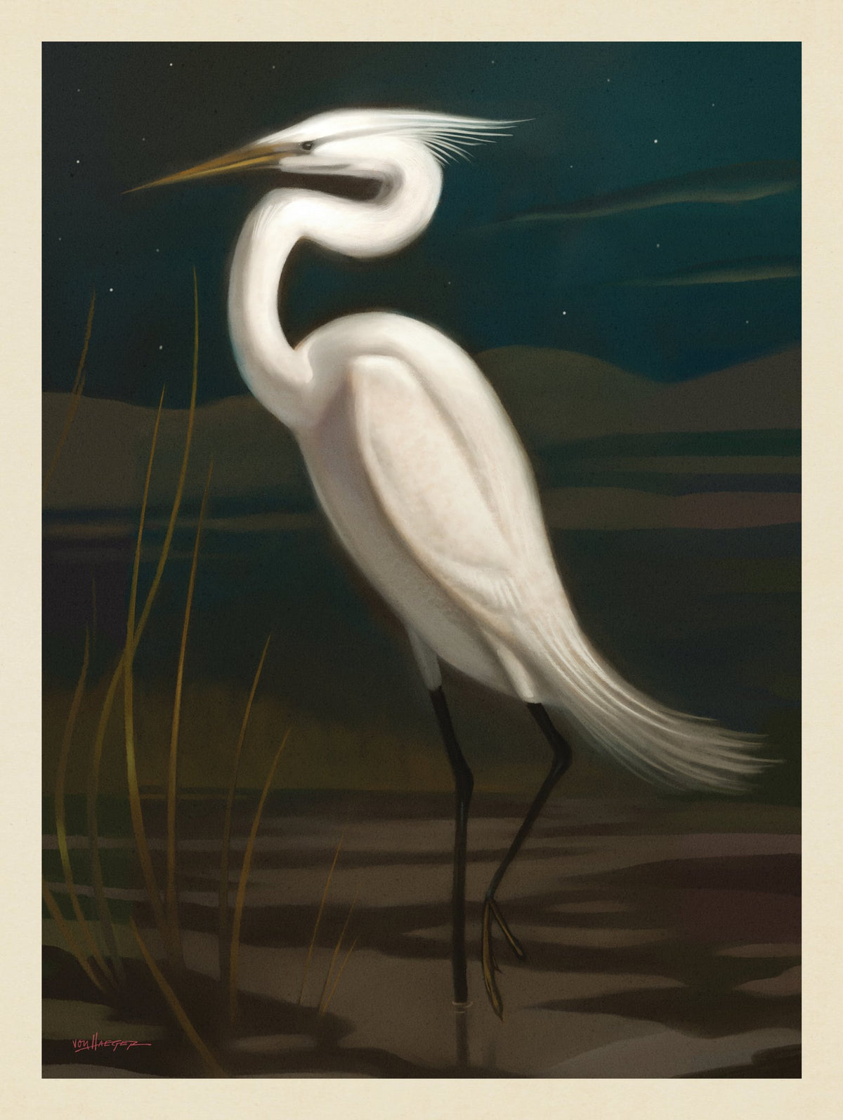   Pastel Painting: Snowy (Egret) - Puzzle - Artwork