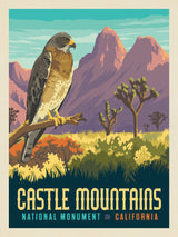 Castle Mountains National Monument, CA - Puzzle - Artwork